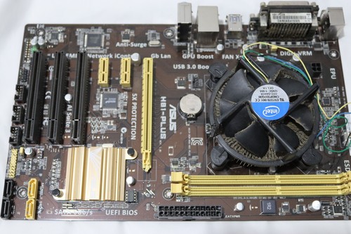 4th gen and asus h81m - and,